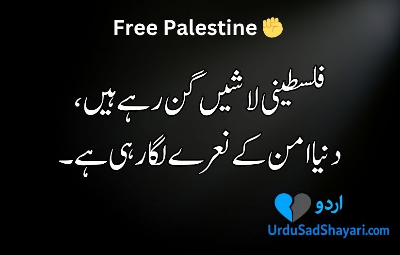 Palestine poetry in Urdu