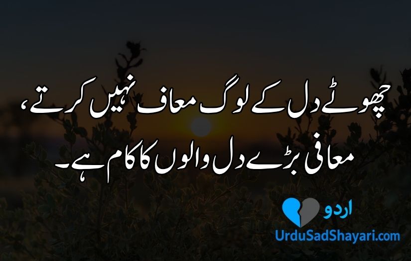 Aqwal e Zareen in Urdu