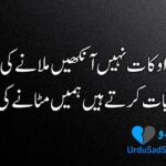 Attitude poetry in Urdu
