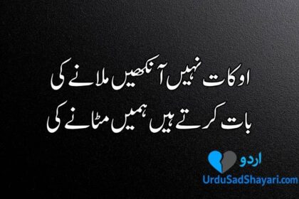Attitude poetry in Urdu