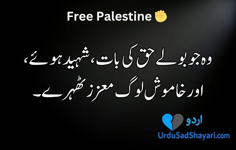 Palestine poetry in Urdu