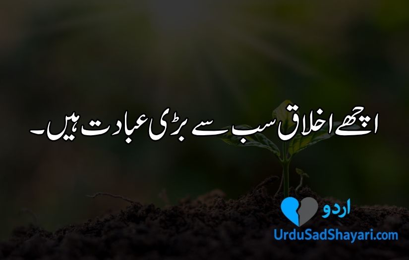 Aqwal e Zareen in Urdu