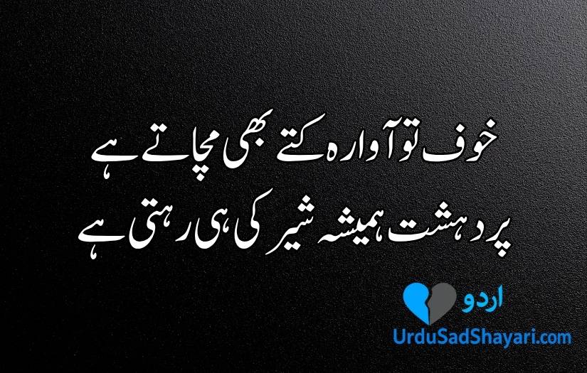 Attitude Poetry in Urdu