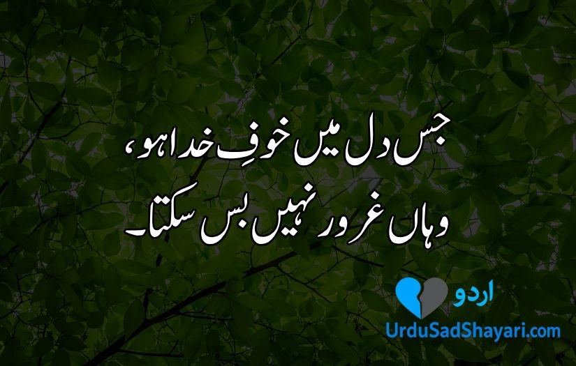 Aqwal e Zareen in Urdu