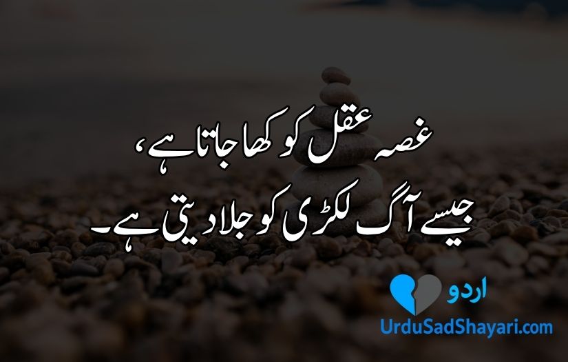 Aqwal e Zareen in Urdu