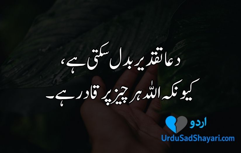 Aqwal e Zareen in Urdu
