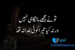 Sad Poetry in Urdu text