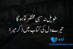 2 line sad shayari in Urdu