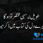 2 line sad shayari in Urdu