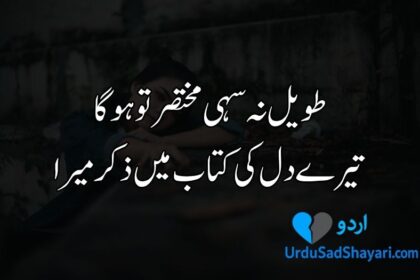 2 line sad shayari in Urdu