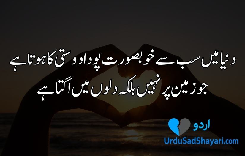 Friends Shayari in Urdu