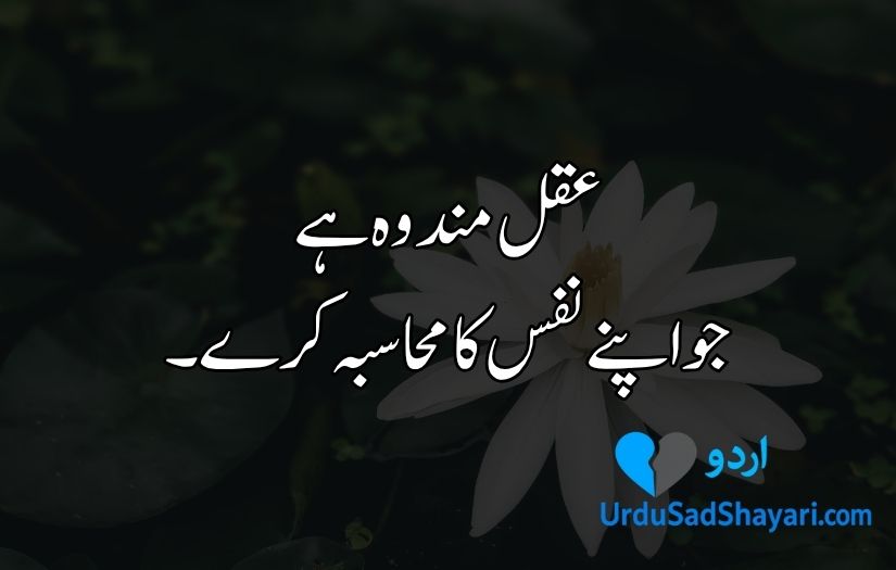 Islamic aqwal e zareen in urdu