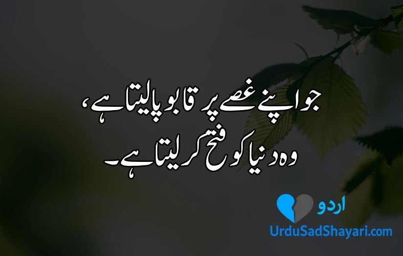 Aqwal e Zareen in Urdu
