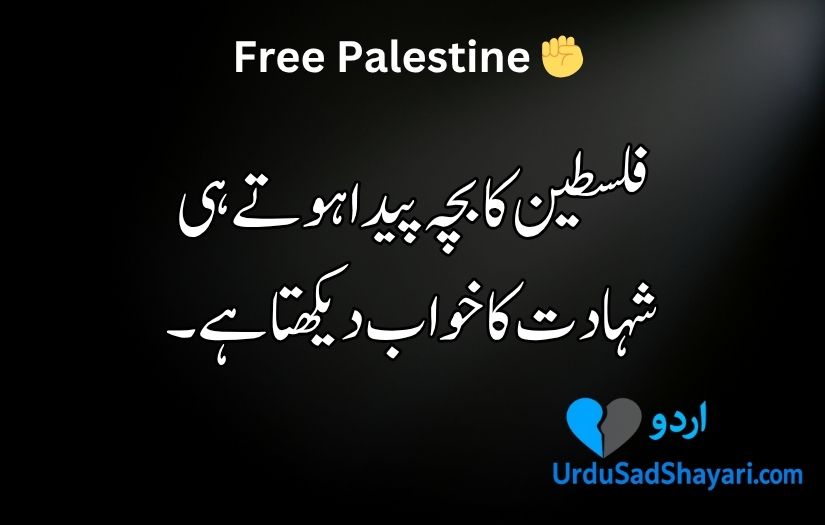 Palestine poetry in Urdu