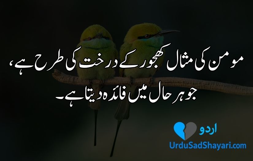 Islamic aqwal e zareen in urdu