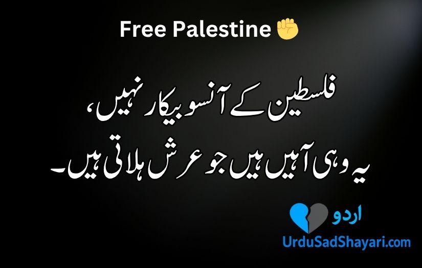 Palestine poetry in Urdu