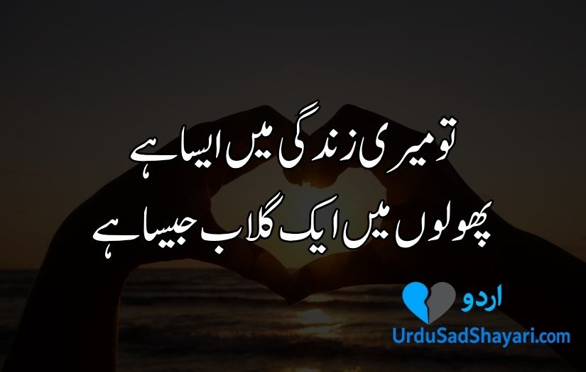 Friends Shayari in Urdu