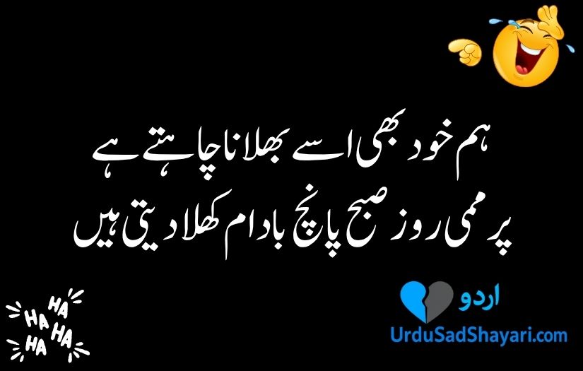 Funny poetry in urdu