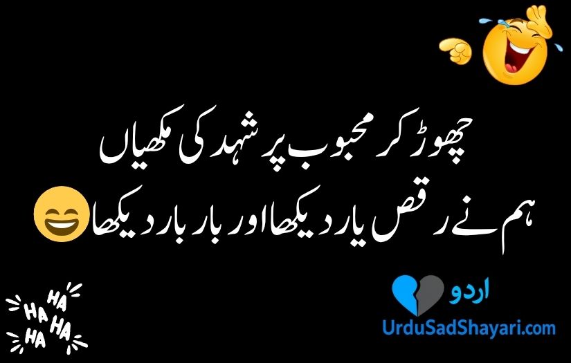 Funny poetry in urdu