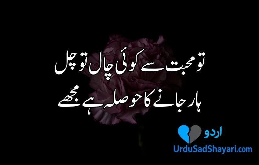 Urdu poetry in 2 lines text