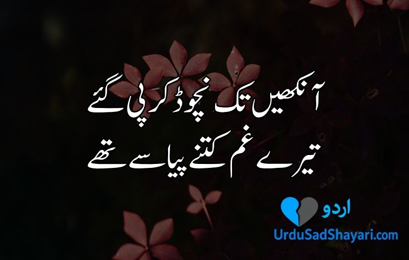 Urdu poetry in 2 lines text