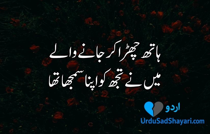 Urdu poetry in 2 lines text