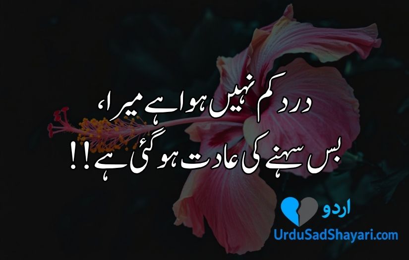 Urdu poetry in 2 lines text