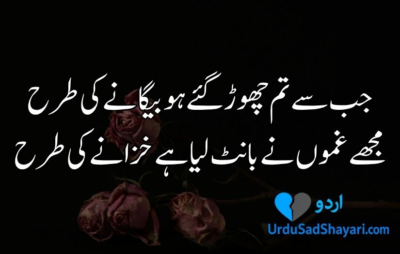 Urdu poetry in 2 lines text