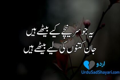 Urdu poetry in 2 lines text