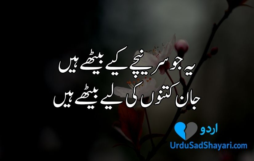 Urdu poetry in 2 lines text